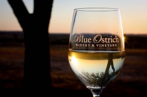 blue ostrich winery